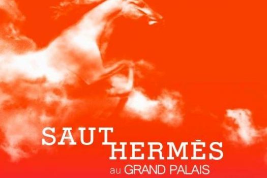 [EN IMAGES] Des photos exclusives du Saut Hermès 2011