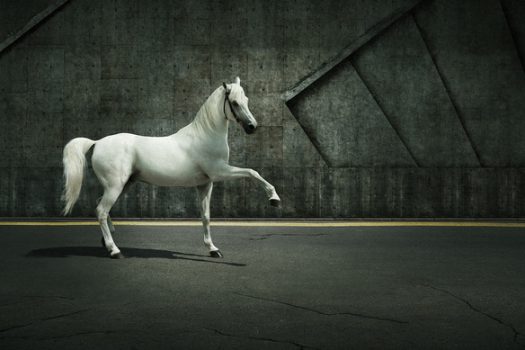 [Photography] Les chevaux bétons d’Andrey Vasilyev