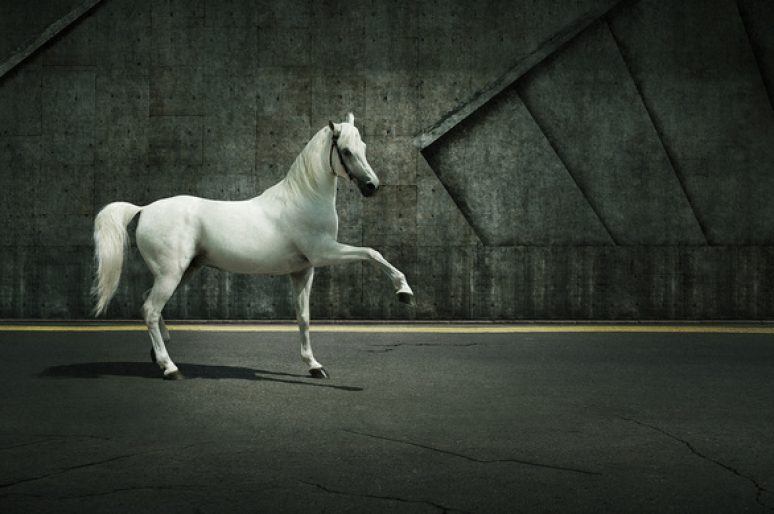 [Photography] Les chevaux bétons d’Andrey Vasilyev