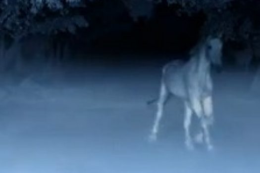 [Advertising] Mercedes-Benz fait son cinéma avec “Dark Horse”