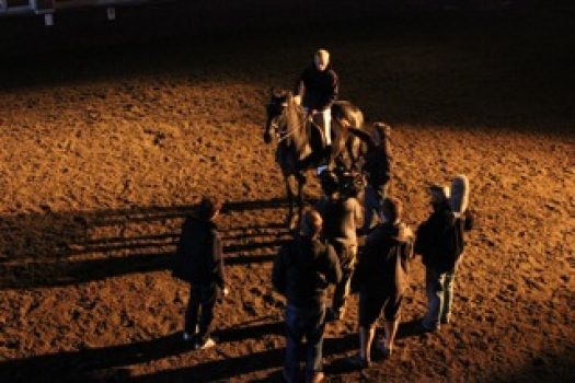 [Cinéma] EXCLUSIF : The Equestrian – la Bande-Annonce du film