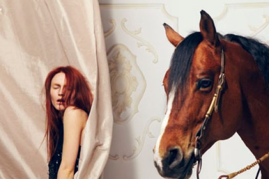 Le quarter horse néo-bourgeois d’Agnieszka Wojtun