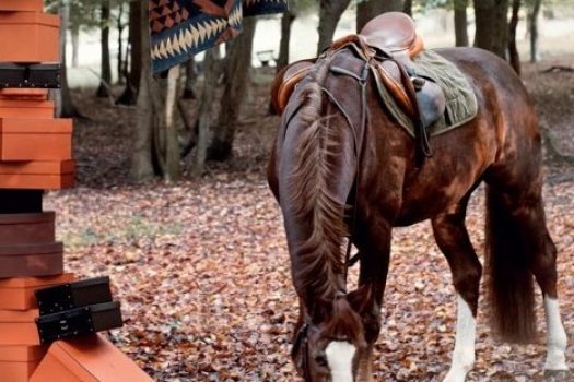 [Equestrian Media] The Horse Rider’s Journal passe l’hiver en forêt