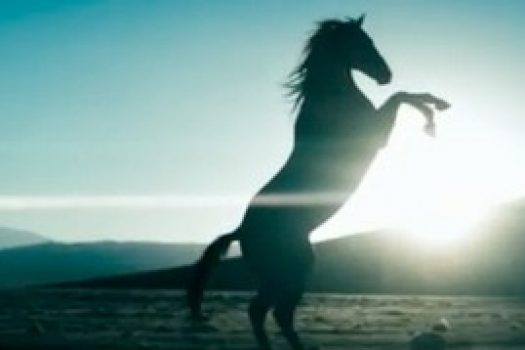 [Music Video] Diamonds, le clip de Rihanna galope chevaux au vent