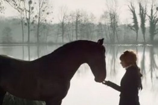 [Music] Mylène Farmer chuchotte à l’oreille d’un cheval espagnol