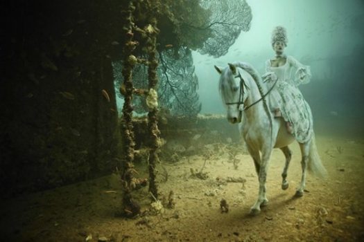 [Photography] A cheval sous les eaux d’Andreas Franke