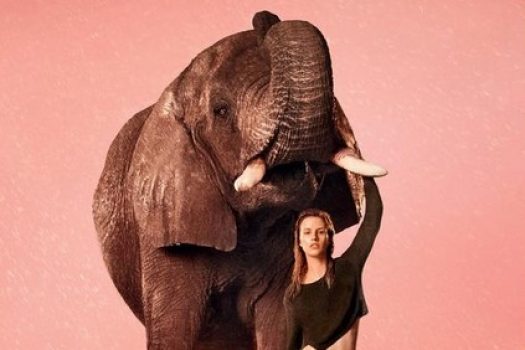 [Animals & Fashion] L’éléphant d’Edun, spring-summer 2013