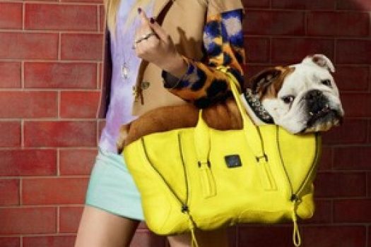 [Animals & Fashion] Harvey Nichols pris le chien dans le sac