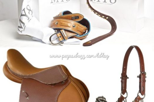 [Horse Clothing] MY8 Horse Equipment : chic, le cuir !