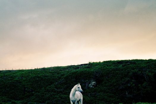 [Photography] Escape with Matthew Coleman