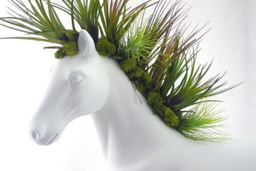 [Equestrian Lifestyle] Plant The Future : White horse