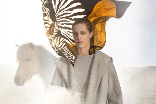 [Fashion Ad Campaign] Hermès FW 2014-2015, le vent en poupe