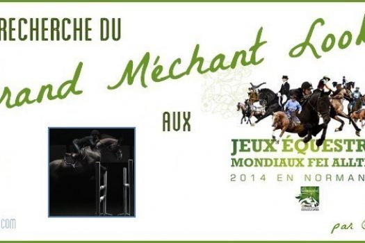 [Jeux Equestres Mondiaux] A la recherche du grand méchant look #4