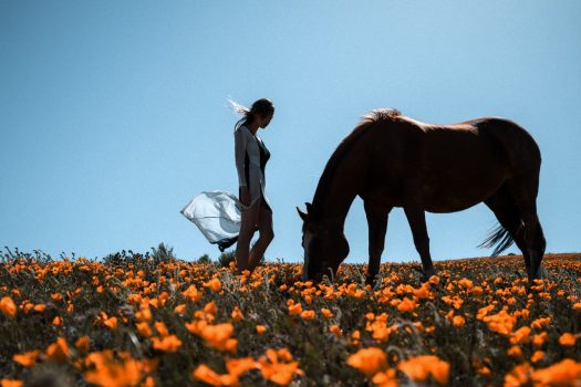 [Fashion Photography] Kesler Tran : horse and liberty