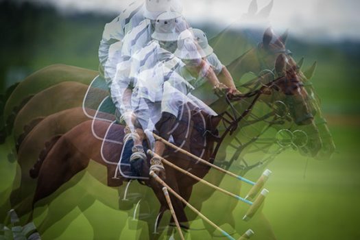 [Equine Photography] Anthony Hatley : polo