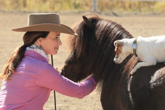 [Buzz] Dally & Spanky : Francesca Carson très à cheval sur les miniatures