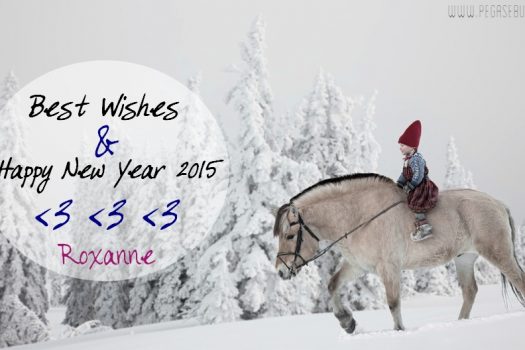 [MOOD] Bonne année 2015 – Happy new year 2015