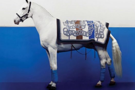 [Fashion Editorial] Le cheval blanc de Vogue Korea