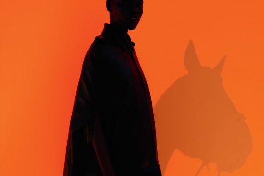 [Fashion Editorial] Pop Magazine : Orange is not the new black