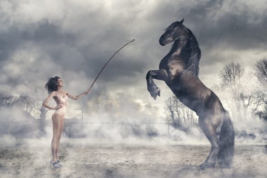 [Photography] Nicolas Bets : Sexy Horse chez Yellowkorner