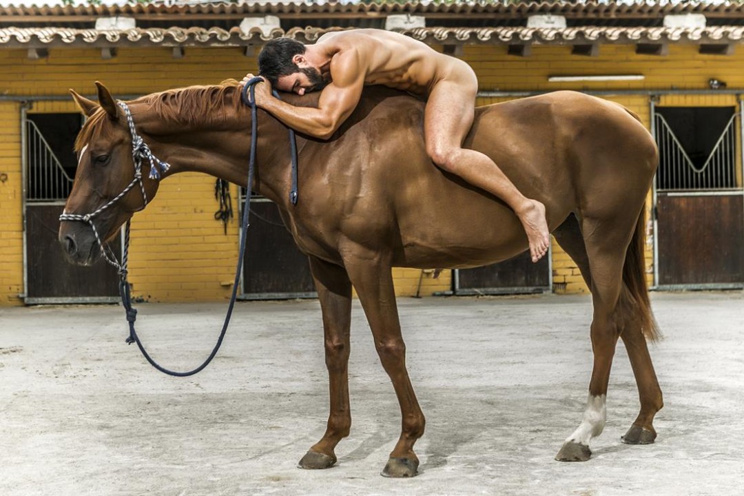 Pezuña de caballo sin casco