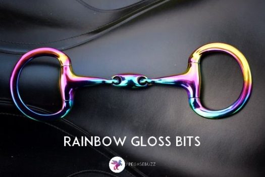 [MUST HAVE] The Rainbow horsebit !