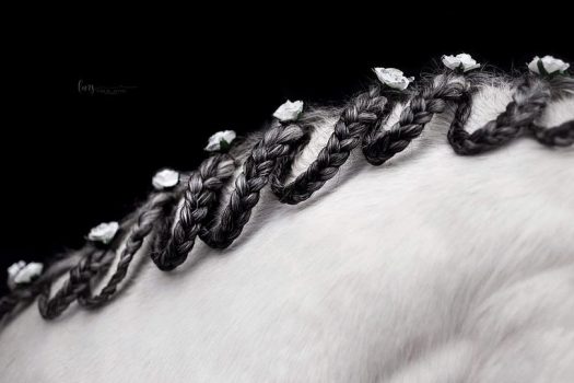 [Equestrian photography] Lisa Seibel Fotografie : Luxury Manes