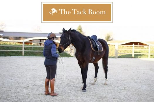 [Bien-Être] The Tack Room, la formation en ligne des propriétaires de chevaux
