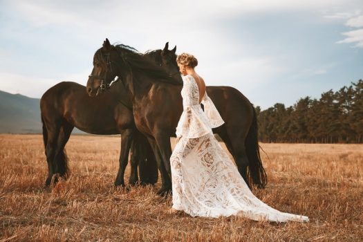 [Fashion] Vagabond Bridal : Friesian horses and wedding dresses