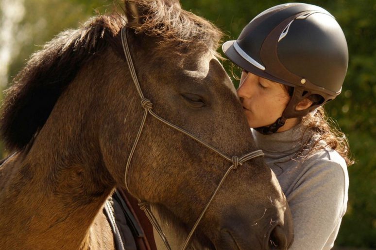 « Beaucoup de cavaliers pros ne savent pas ce qu’est réellement un cheval : ils pilotent »