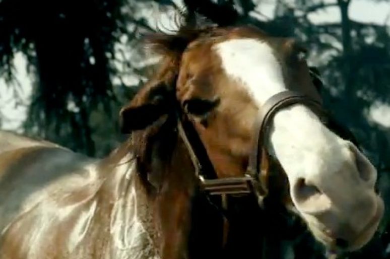 Un dimanche au galop