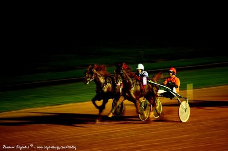 [Hippisme] “Vivre Le Trot” à Cabourg