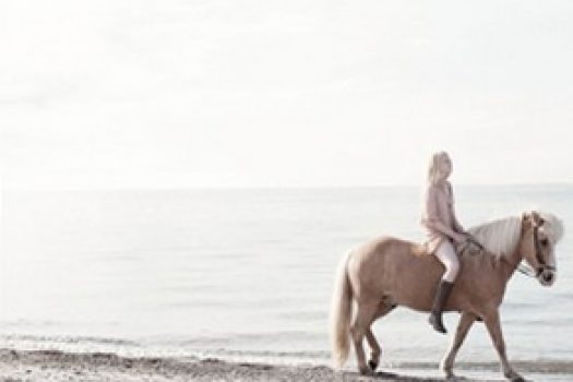 [Fashion Editorial] Ditte Isager de retour dans le Horse Rider’s Journal
