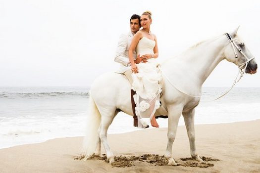[Equestrian Wedding] Un jour, mon prince viendra