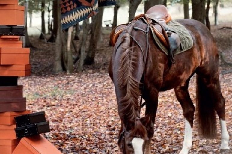 [Equestrian Media] The Horse Rider’s Journal passe l’hiver en forêt