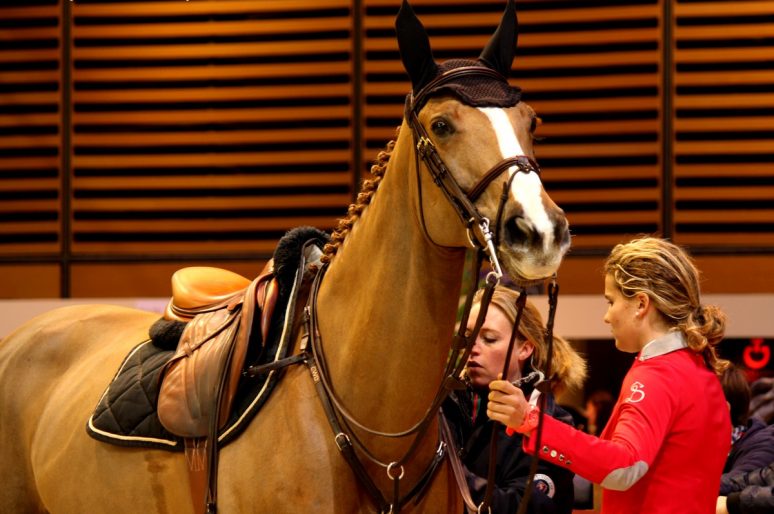 [Salon du Cheval] Paris Gucci Masters : coulisses du GP Equidia Life