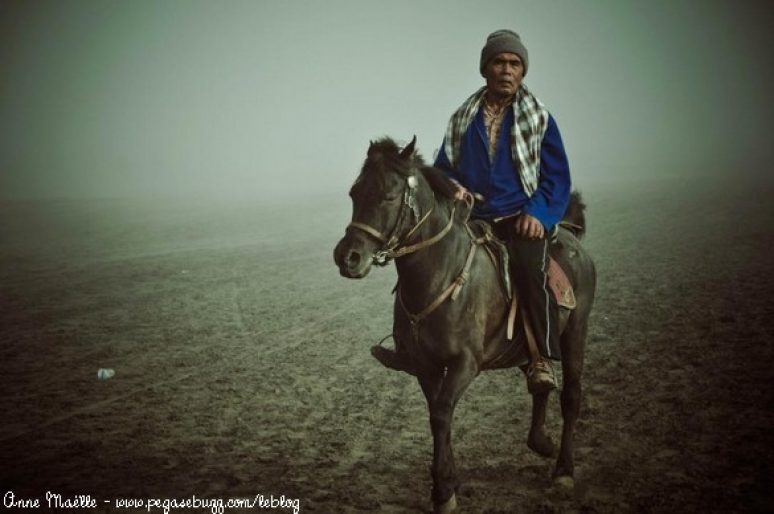 [Travel] Les chevaux du volcan de Bromo à l’île de Java