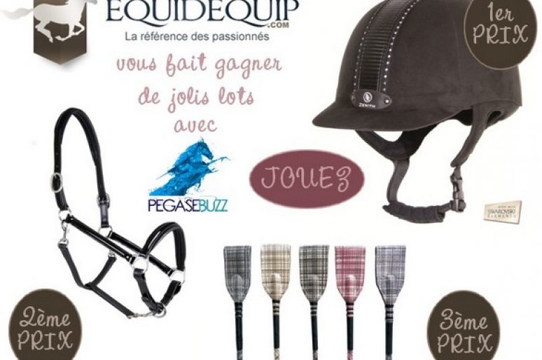 [Concours] De jolis lots à gagner avec Equidequip !