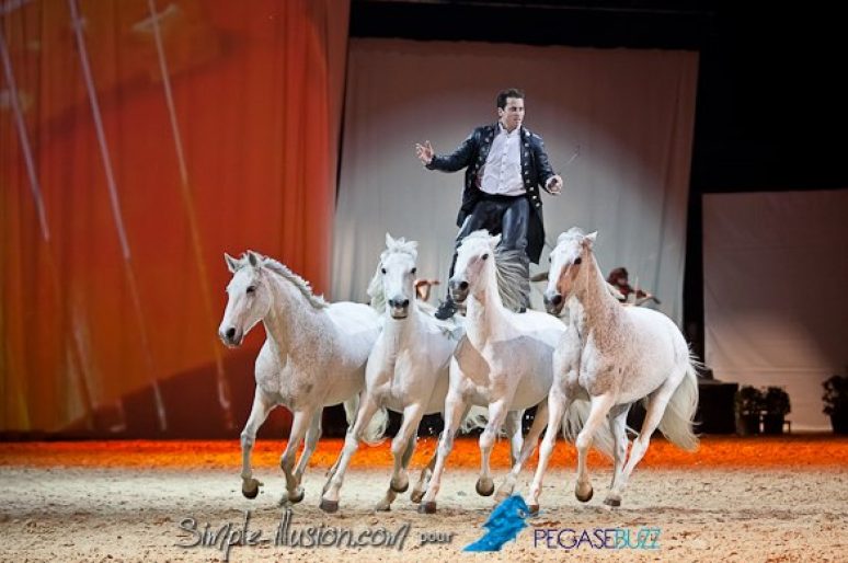 [Cheval Passion 2013 2/2] Le Gala des Crinières d’Or !