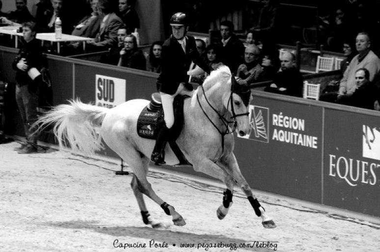 [EN IMAGES] Le Jumping de Bordeaux 2013 : saut d’obstacles