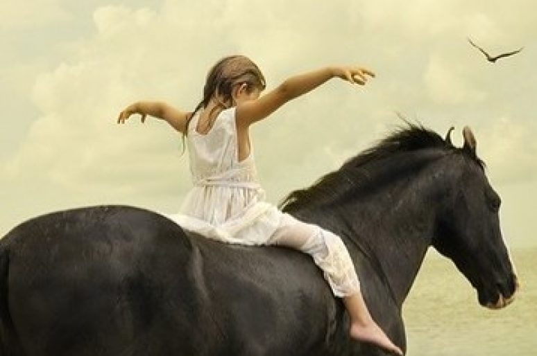 [Photography] Le Marwari, sublimé par Tom Chambers