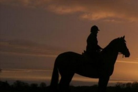 [Equestrian apparel] Horseware Ireland se lance dans le storytelling