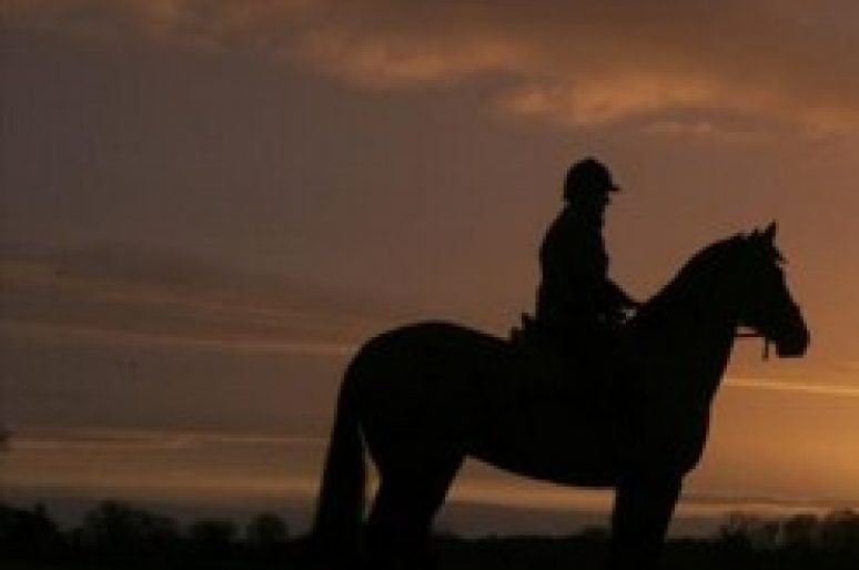 [Equestrian apparel] Horseware Ireland se lance dans le storytelling