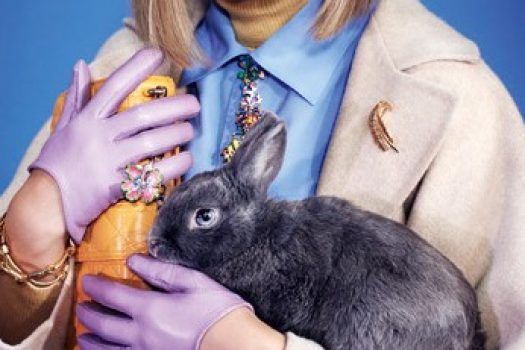 [Fashion Easter] Le lapin Glamour de Naomi Yang !