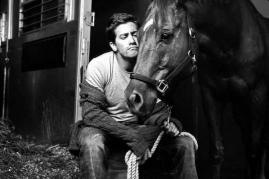 [Horse & People] Jake Gyllenhaal : le prince au cheval noir