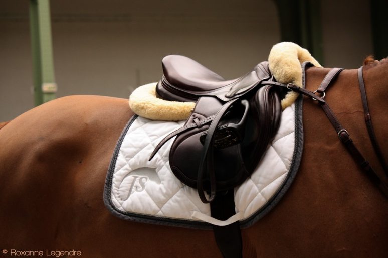 [Photography] Roxanne Legendre : Saddles from Saut Hermès