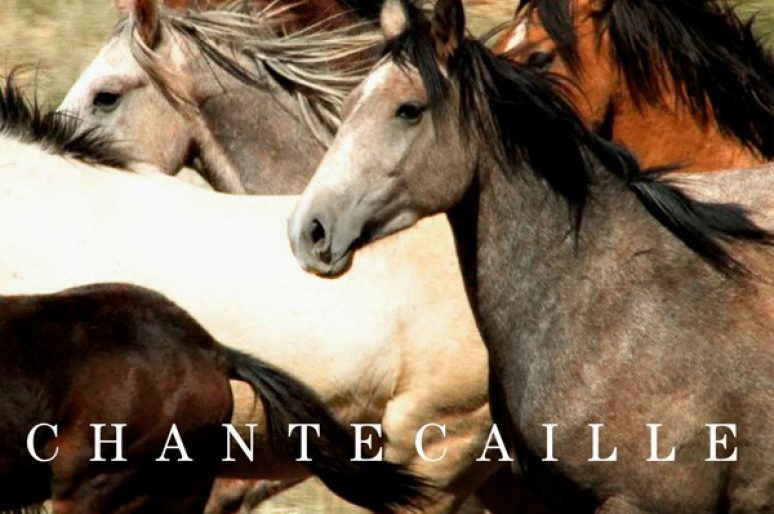 [MakeUp] Une palette Chantecaille au secours des mustangs