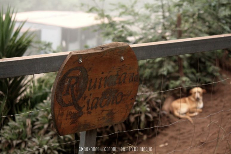 [MADEIRA] Découverte de la Quinta Do Riacho