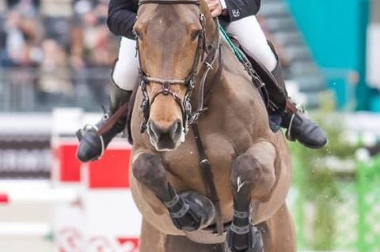 [ShowJumping] Roger-Yves Bost x Myrtille Paulois : le saut en or