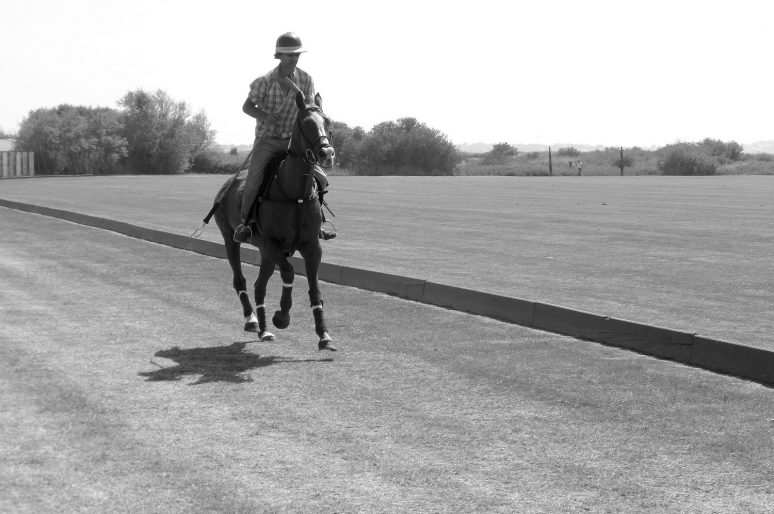 [Photography] Brittany Polo Club, La Baule